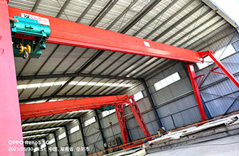 湖南岳陽單梁門式起重機項目